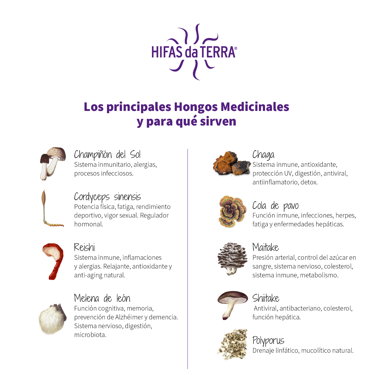 Hifas da Terra presenta su línea para crear antibióticos a partir de hongos