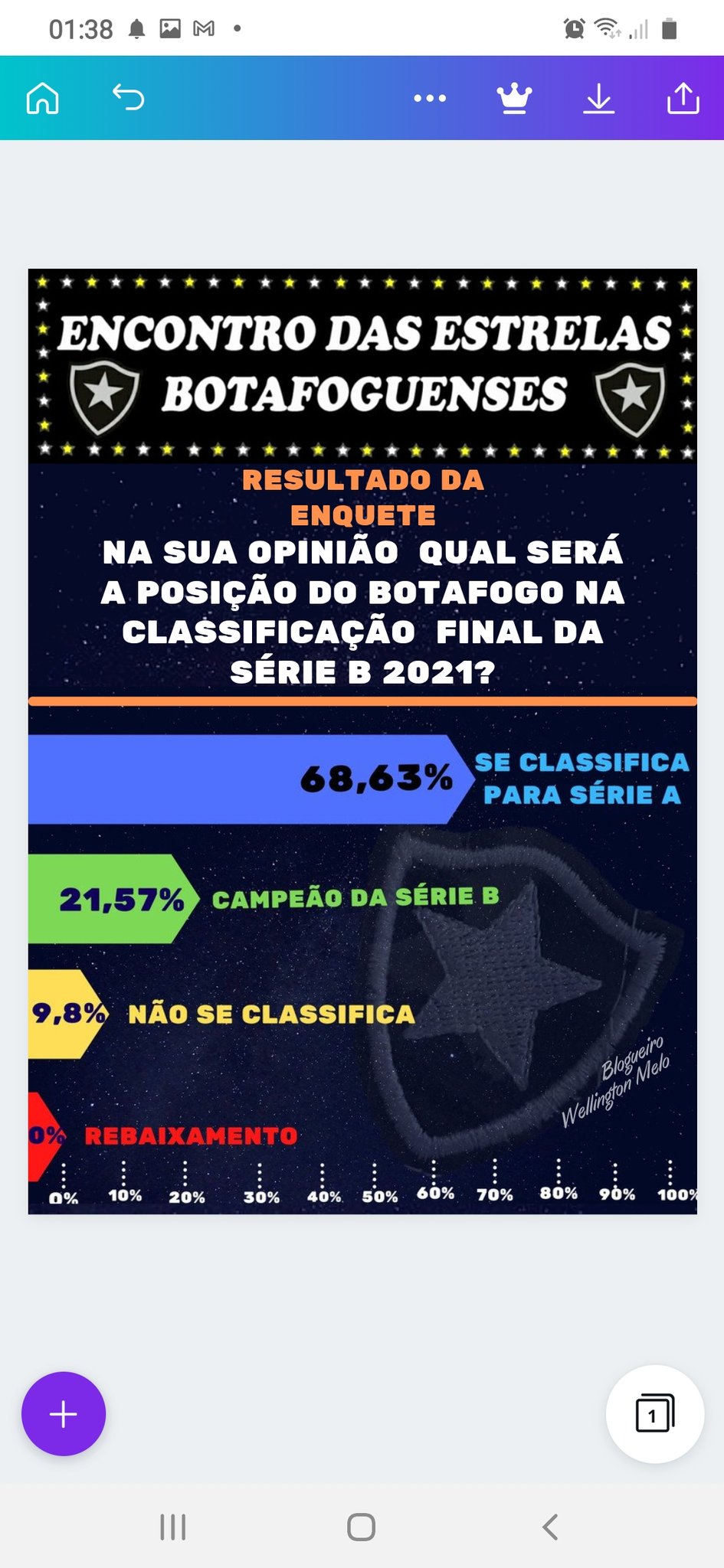 A estrela sobe: Botafogo vitorioso é orgulho de torcedores da nova geração