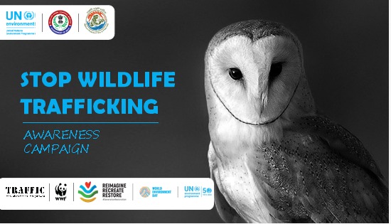 moefcc's tweet photo. Illegal #wildlife trade for traditional #medicines is one of the most serious threat to the existence of wildlife. They have no scientific proof. These species are not your medicine! https://t.co/VDjqFDgG78