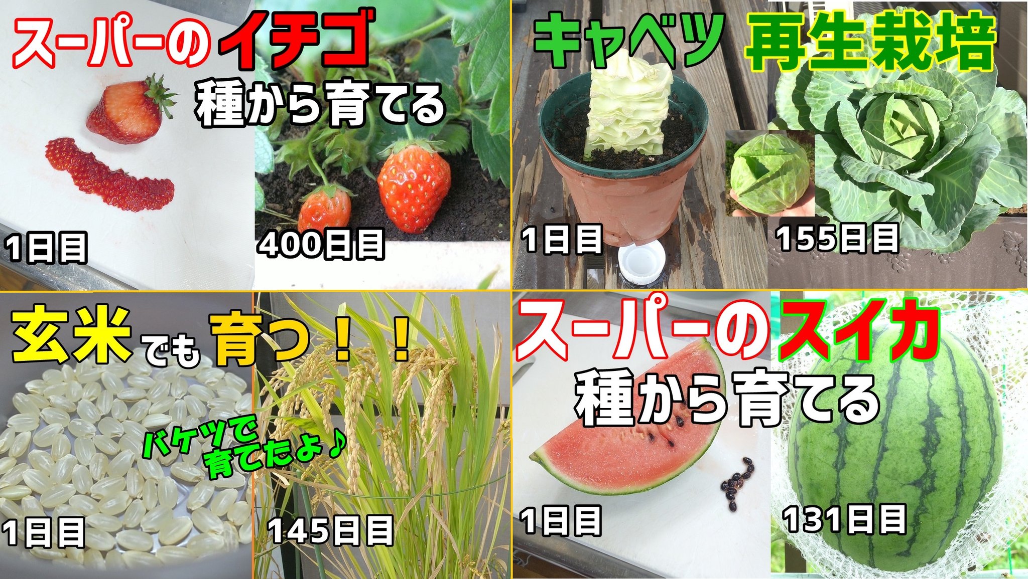 Tweets With Replies By のりんご Ibitc0sdklfojgf Twitter