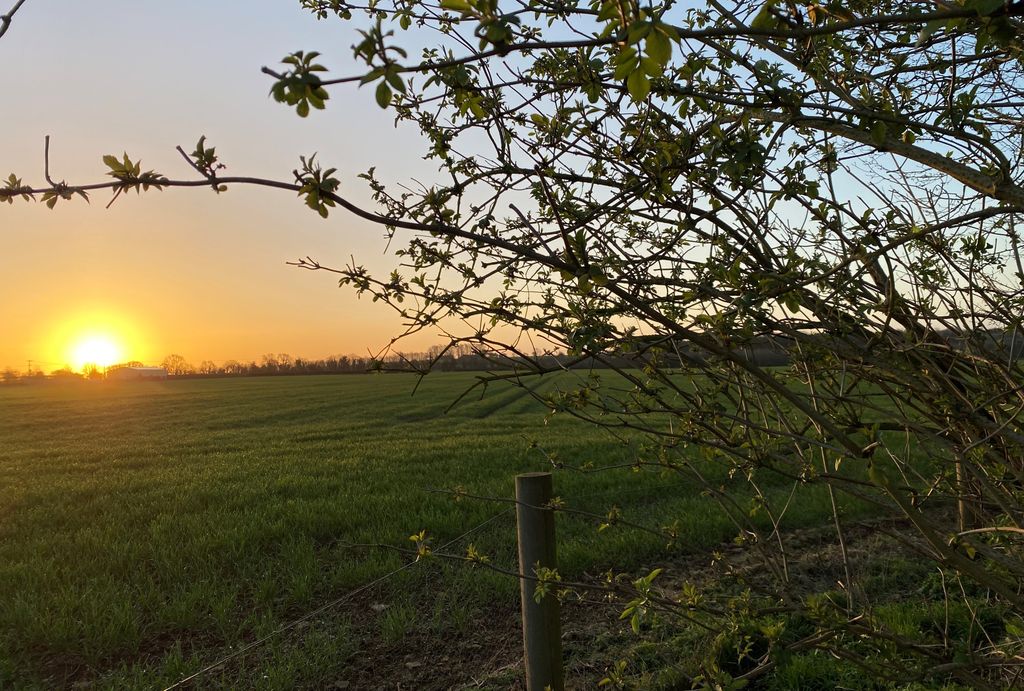 The perfect Cotswolds sunrise!

They say, the early bird catches the worm and that was us this morning! We've been up early to get going with all things Genus! Busy week ahead 

#genusgardenwear #sunrise #gardeningsunrise #earlybirdcatchestheworm #coloursofnature #gardenplants