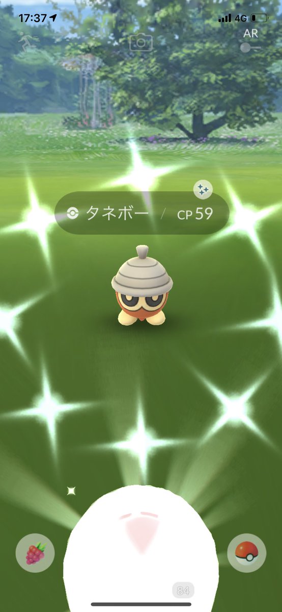 87zetu A Twitter ヨーテリーの色違い初ゲット 進化させるか迷うなあ ポケモンgo ヨーテリー 87zetu A Twitter ヨーテリーの色違い初ゲット 進化させるか迷うなあ ポケモンgo ヨーテリー