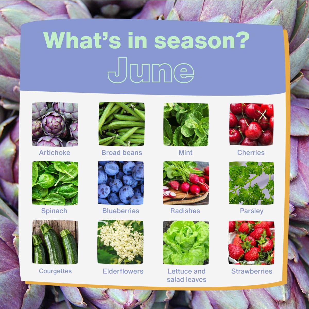 Food Savvy Suffolk tweet media