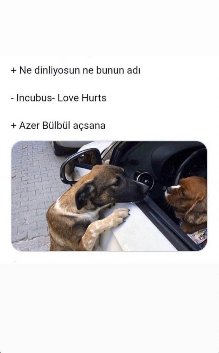 emir (@ebado7) on Twitter photo 