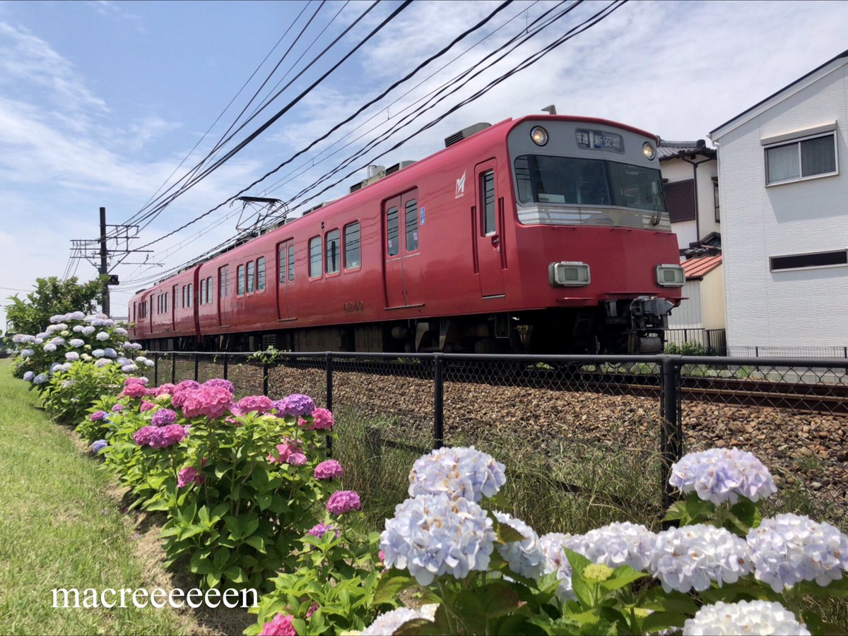 macreeeeeen's tweet photo. ・
紫陽花と赤い電車シリーズ
・
名鉄6000系10次車鉄仮面
・
6049F
・
・
・
#紫陽花
#名鉄
#電車
#列車
#撮り鉄
#6000系
#6049F
#鉄道
#鉄道写真
#写真
#ファインダー越しの私の世界
#写真好きな人と繋がりたい https://t.co/5oQpZBja5h