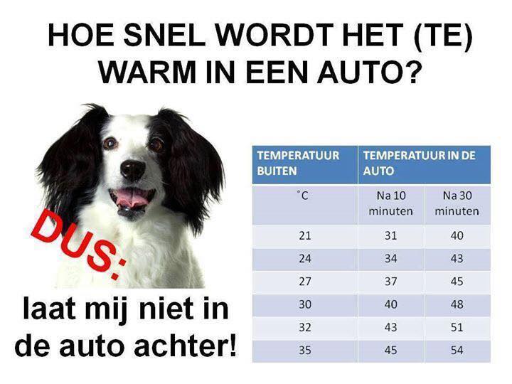 Voor alle zekerheid en hopelijk totaal overbodig, toch weer even herinneren... Laat nooit je hond in de auto bij warm weer!!! Zo'n auto kan een oven worden in de zon met alle gevolgen van dien!!! 🐶☀️🚗 doggydating.com