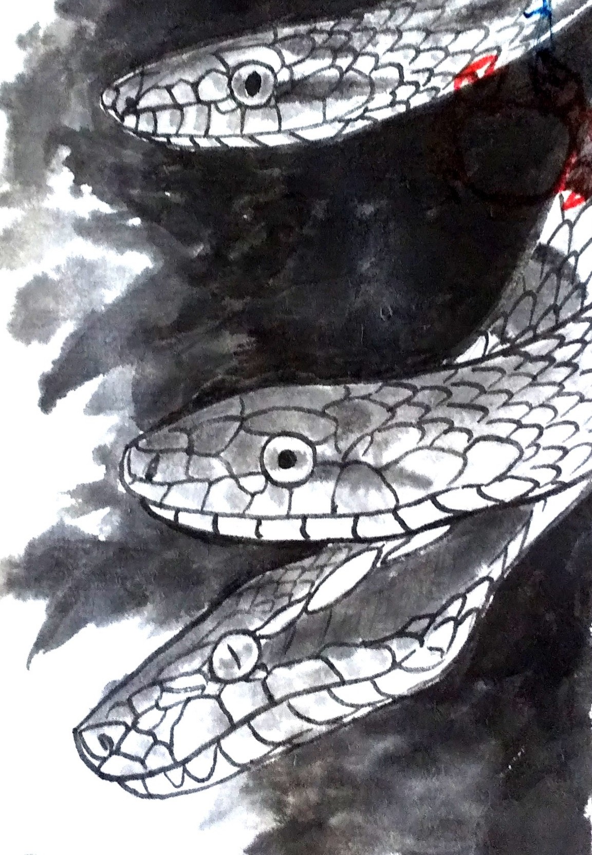 さわがに画廊 爬虫類 イラスト お絵かき 水墨画 生き物 墨絵 絵はがき 蛇 マムシ T Co Fxuacjiig0 Twitter