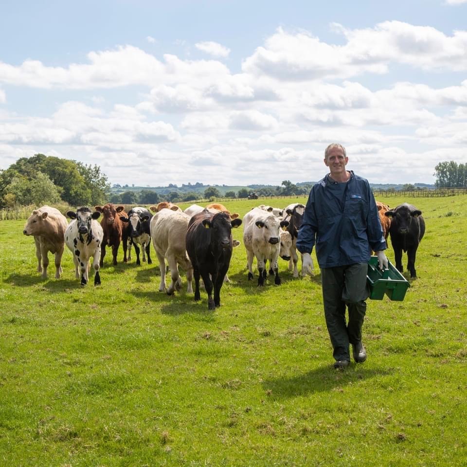 uttoxeterjames's tweet photo. It is World Food Safety Day. #TeamVet plays a huge role from farm, through official controls at slaughter, to export health certification. Also all our colleagues keeping medicines safe and effective in our farmed species. This work is so important, thank you. @BritishVets @VPHA https://t.co/BbHdLZZY5H