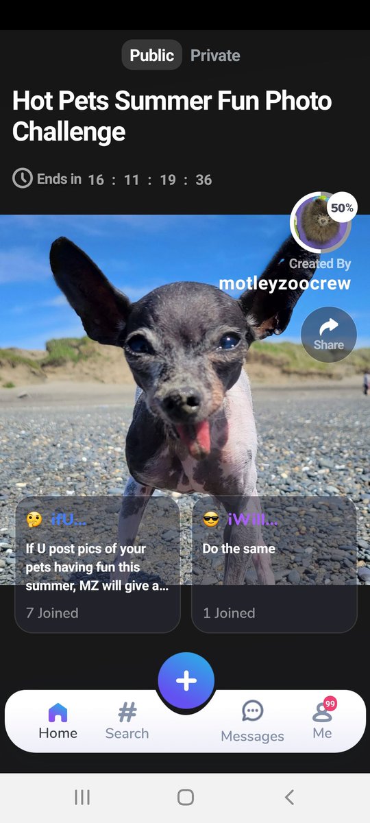 ifuiwill's tweet photo. Do you have the cutest animal? Join our at  https://t.co/7vyrAmapit, win a prize, see cute animal pics and videos. All for a great charity Motley Zoo Rescue. #contest #animalphoto #animalcharity @MotleyZooRescue @ASPCA #dogs @bestfriends @animalcharity2 @HumaneSociety @HSIGlobal https://t.co/gIk2i4Hb5V