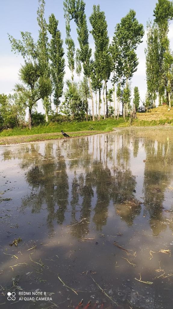 SheikhI07386275's tweet photo. Nature reflects by its own charm !! https://t.co/M9nhsEYNny