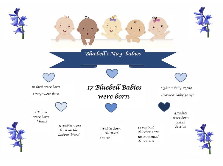 bluebellmidwiv1's tweet photo. 💜MAY BABIES💙
Another great month for our Bluebell team with many births and GREAT outcomes💜
Wishing our May families a lifetime of happiness, health and laughter💙 
(Look at the size of our heaviest Bluebell baby! This baby was born at home into the hands of midwife Lauren)💜 https://t.co/ZNS3ebBEIz