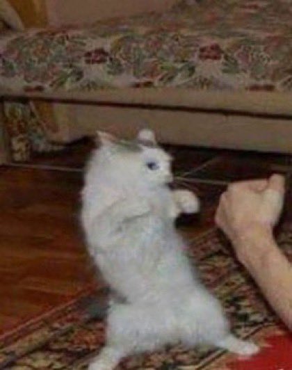 61 (@loeyxpics) on Twitter photo 