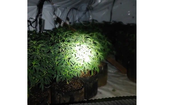 Cannabis seized and two arrested in Cowley Road police raid j.mp/2RvAPu7
