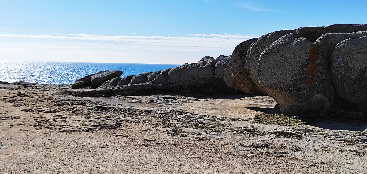Les Rochers à Penmarch, hier après-midi  : avec un peu d'imagination l'ours au premier plan a terrassé le dinosaure ! Tout un symbole...
