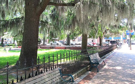 VisitNewBern's tweet photo. The benches along the tree lined streets in historic Downtown New Bern offer the perfect spot to simply enjoy the views. #walking #shopping #thingstodoinnewbern https://t.co/1XLNISyCh2