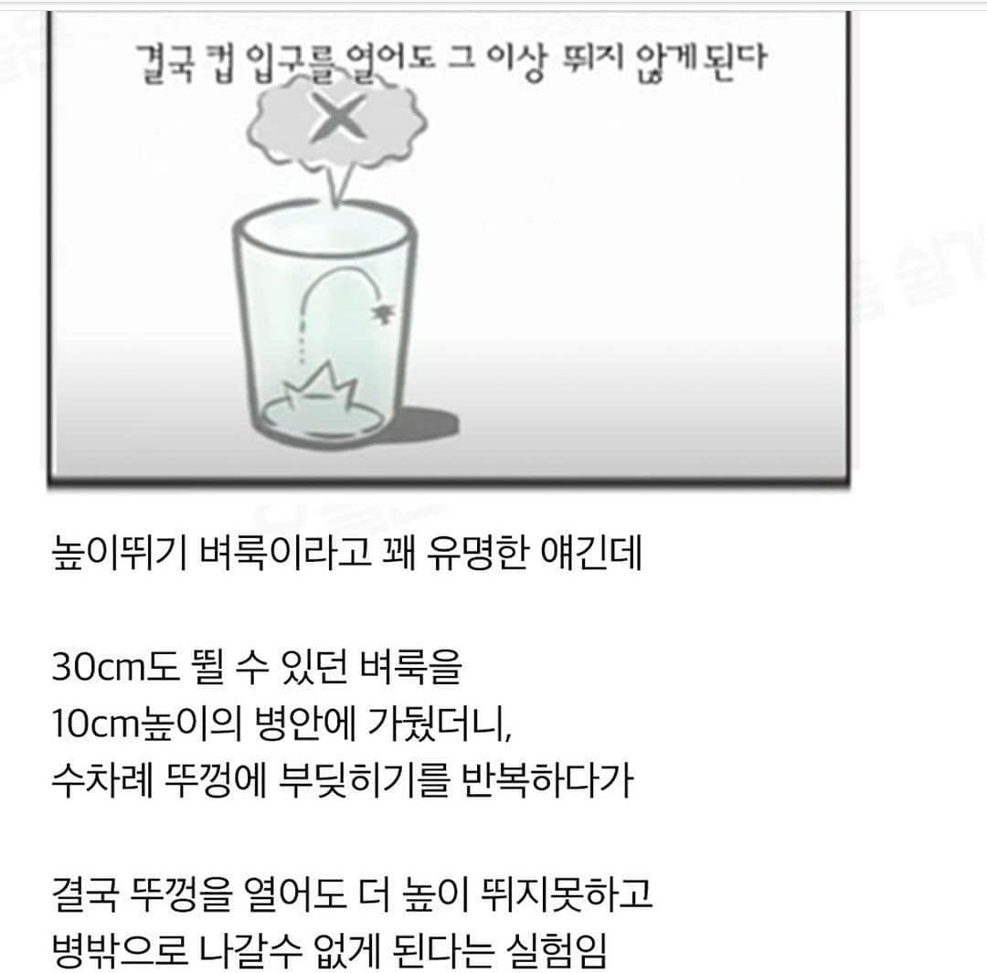 RoAh(로아) (@nippo_jjang) on Twitter photo 