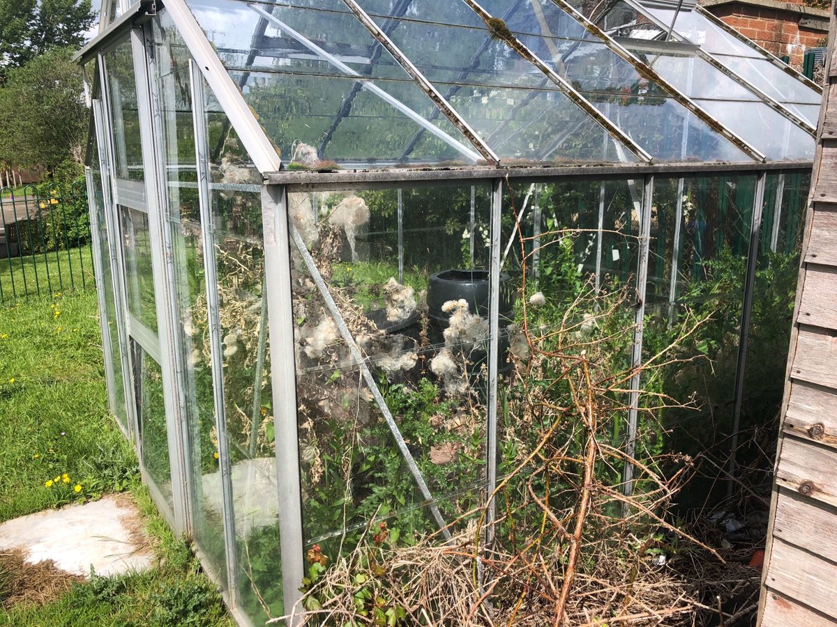 sbcps1's tweet photo. Do you need an aluminium greenhouse 10' X 8' ? We are asking a donation in the region of £100 for school funds. Glass will be removed by school and the buyer dismantle the frame. Please contact school on 01132869819 if you are interested. #helpingschool https://t.co/LMT1XwZ1gF