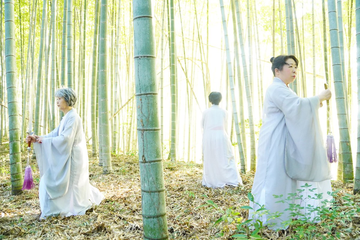 楊式太極拳 楊式太極拳