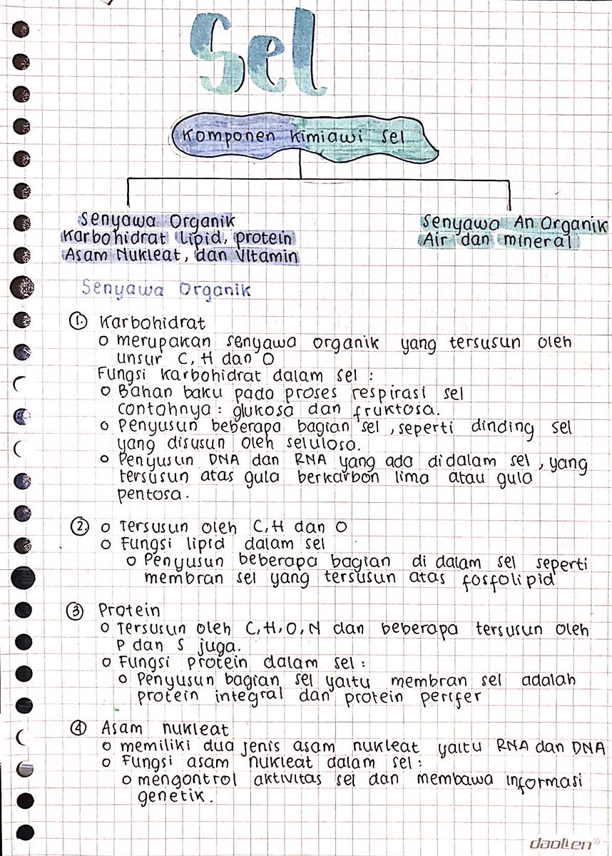 seblakc56223132's tweet photo. Materi Biologi Sel                                        Materi kelas 11                                             Sumber materi : Ruangguru.                       Semoga bermanfaat 🤩🙏 https://t.co/ci17PNdki1