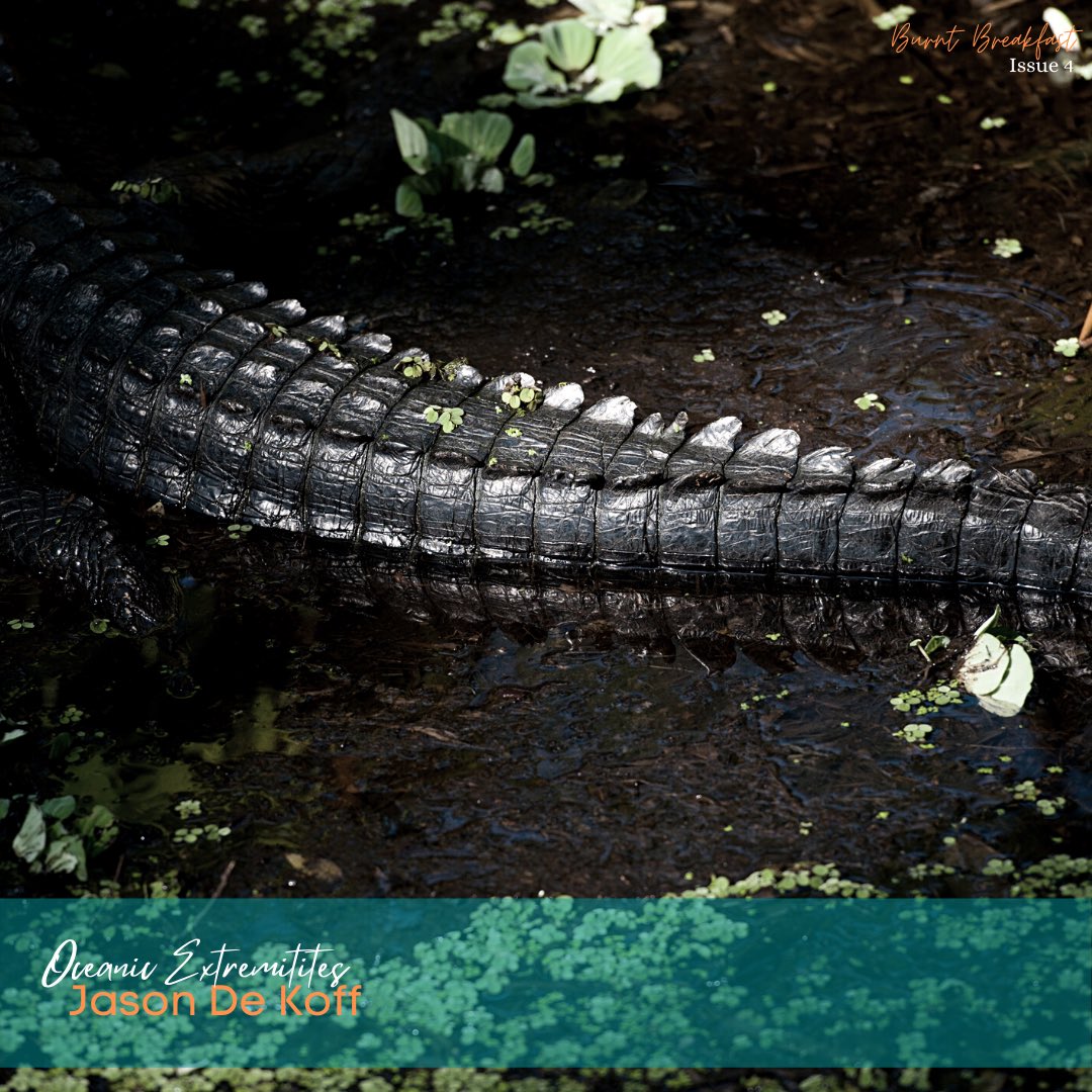 Burnt Breakfast Magazine tweet media