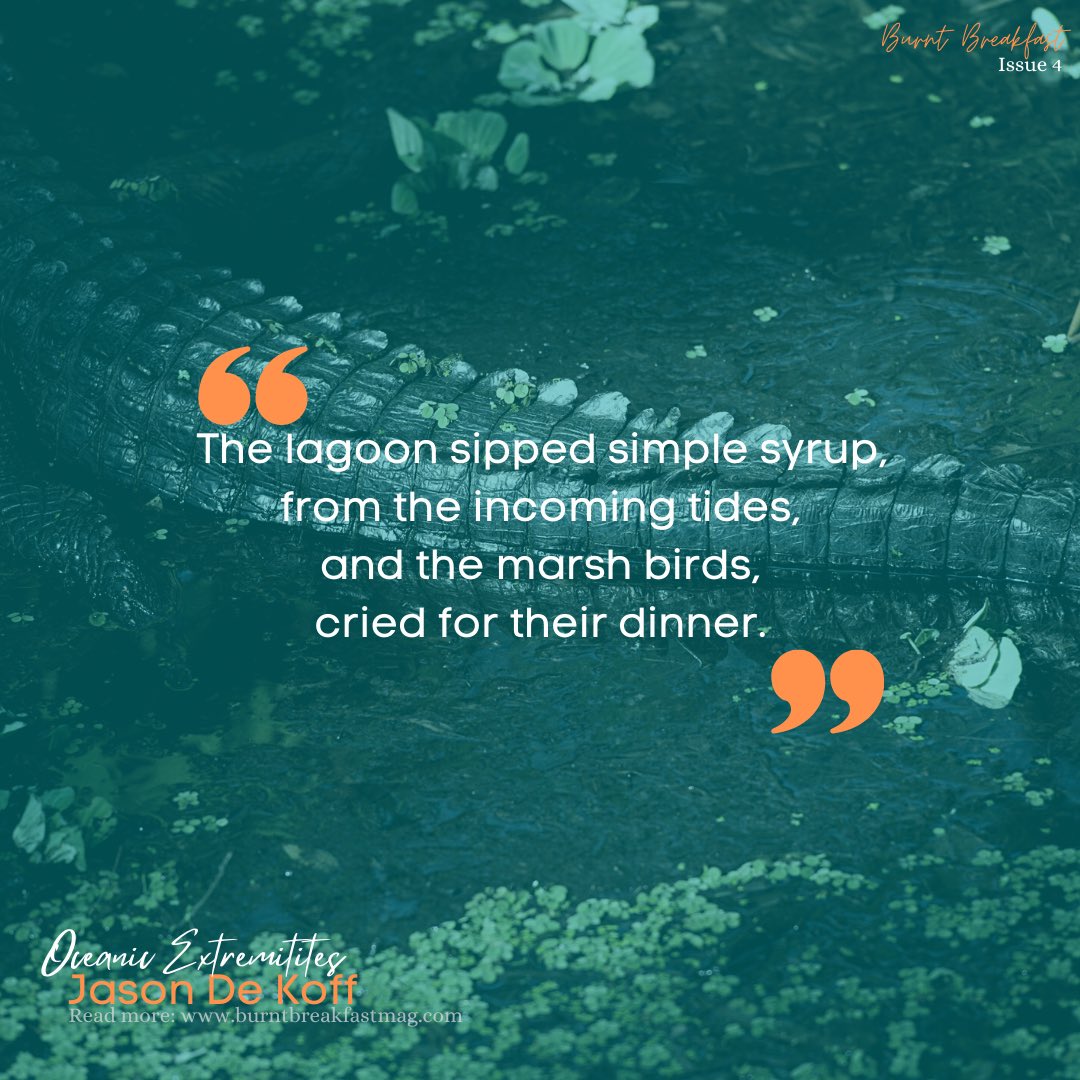 Burnt Breakfast Magazine tweet media