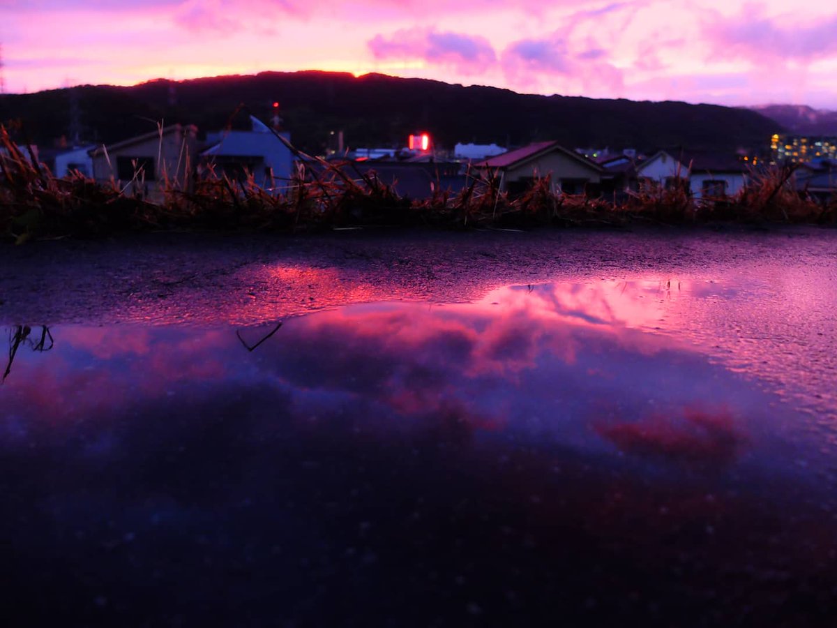#大阪 #夕焼け #水たまり
#osaka #bluehour #magichour  #lowlightphotography #sunset #purplesunset #sunset_vision #purplesky #pinksky #skypainters #cityscape #urbanphoto #lightandshadow #nightphotography #nightphoto #photography #fujifilm_xseries 

instagram.com/p/CPskMgzs9tH/…