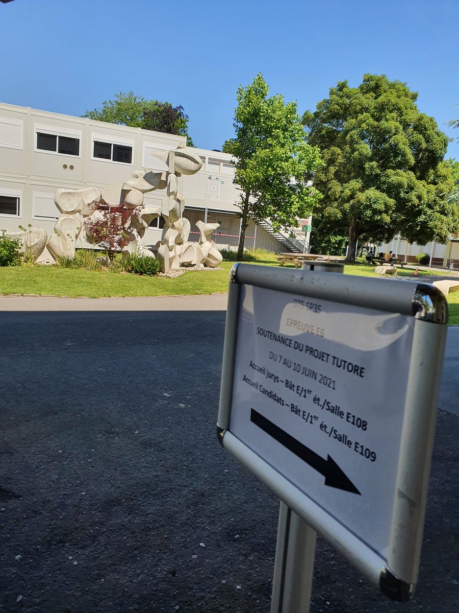 Aujourd'hui, je suis jury 👩‍⚖️.
 Retour au lycée👩‍💼 pour le Passage des oraux des lycéens du BTS Services et Prestations dans le secteur sanitaire et social @LabbeValentine . Bon courage aux étudiants,  c'est la dernière ligne droite 👨‍🎓👩‍🎓#pro #jeunes #diplome