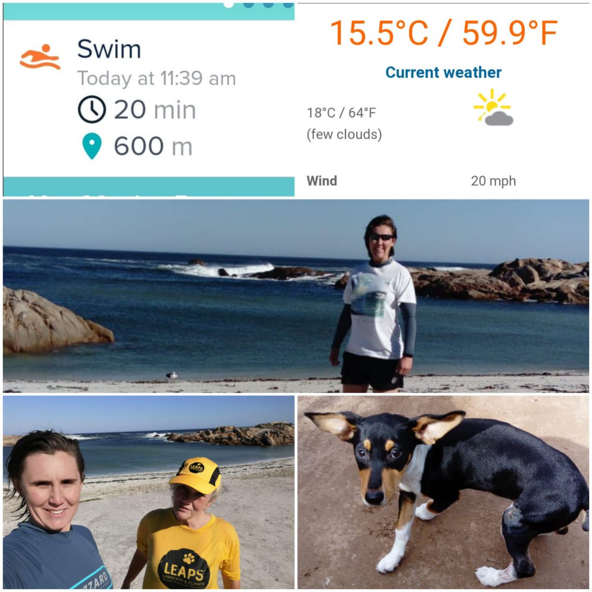 #LEAPS (@helpingthepaw) on Twitter photo There is only 13 days left to sponsor Dot Skelly our very brave field worker in Vredenburg in the SOLSTICE swim 19.06.2021. She has been braving the cold sea water every weekend to see if she could manage in the VERY COLD West Coast water-for more info contact Bronwyn 0722837521 There is only 13 days left to sponsor Dot Skelly our very brave field worker in Vredenburg in the SOLSTICE swim 19.06.2021. She has been braving the cold sea water every weekend to see if she could manage in the VERY COLD West Coast water-for more info contact Bronwyn 0722837521