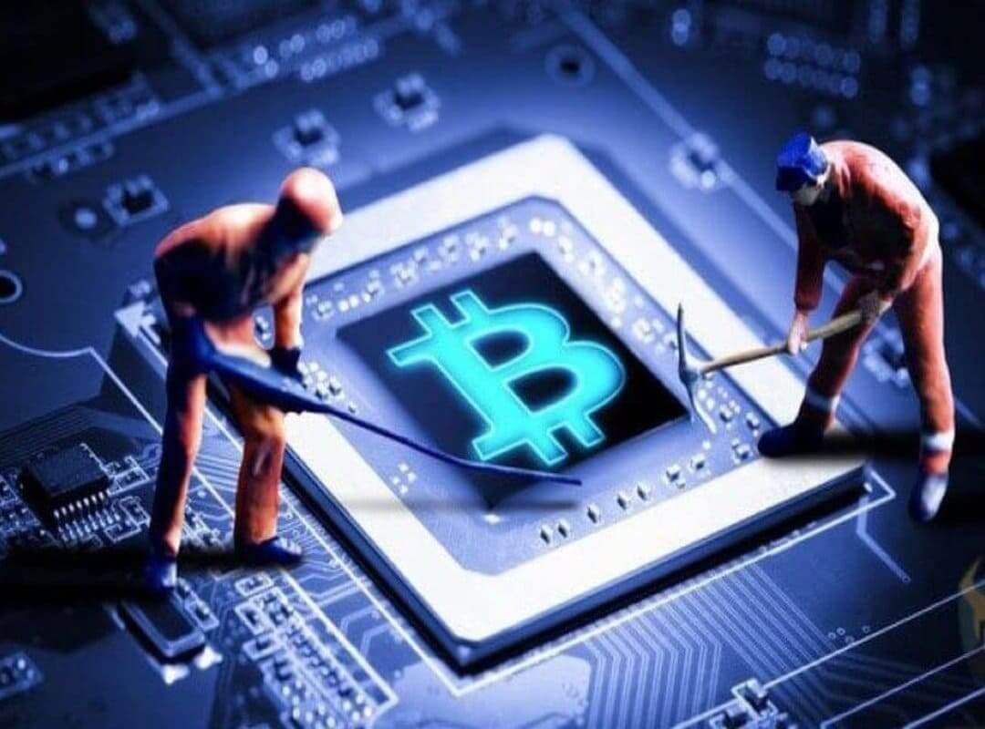 *Cryptoplaneta* *Криптопланета* tweet media