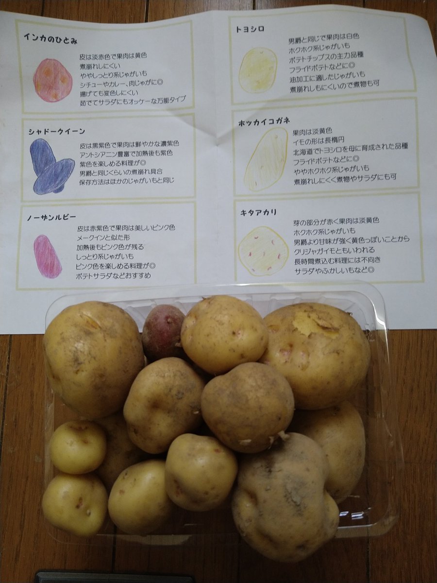 ぱんだ母さん みつばち製品のお店アルビレオ 昨日の おけてま で じゃがいも詰め放題やってみました ６種類あっても息子は トヨシロ ばかり選んでる これでフライドポテト作ってね さっそく作ったら やっぱりフライドポテト用のジャガイモは