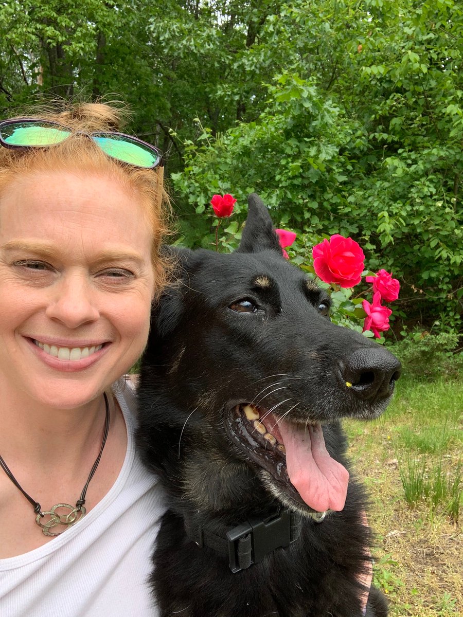 Blitz was sure having some fun stopping to smell the roses before it got too hot out! #blitz #hotsummer #hydrate