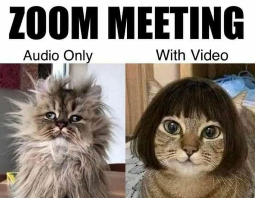 WPMU DEV tweet media