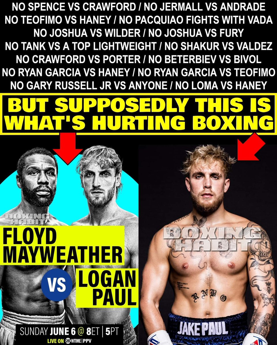 DamnItGeorge 🎥🥊 tweet media