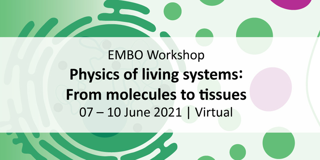 PoLDresden's tweet image. Welcome to the #EMBOlivingsys #workshop! The organizers @FBiotec @StephanGrill @brugueslab #mpipks and @TheCrick warmly welcome over 300 participants and thank all the sponsors, speakers &amp;amp; partners. @EMBOevents
