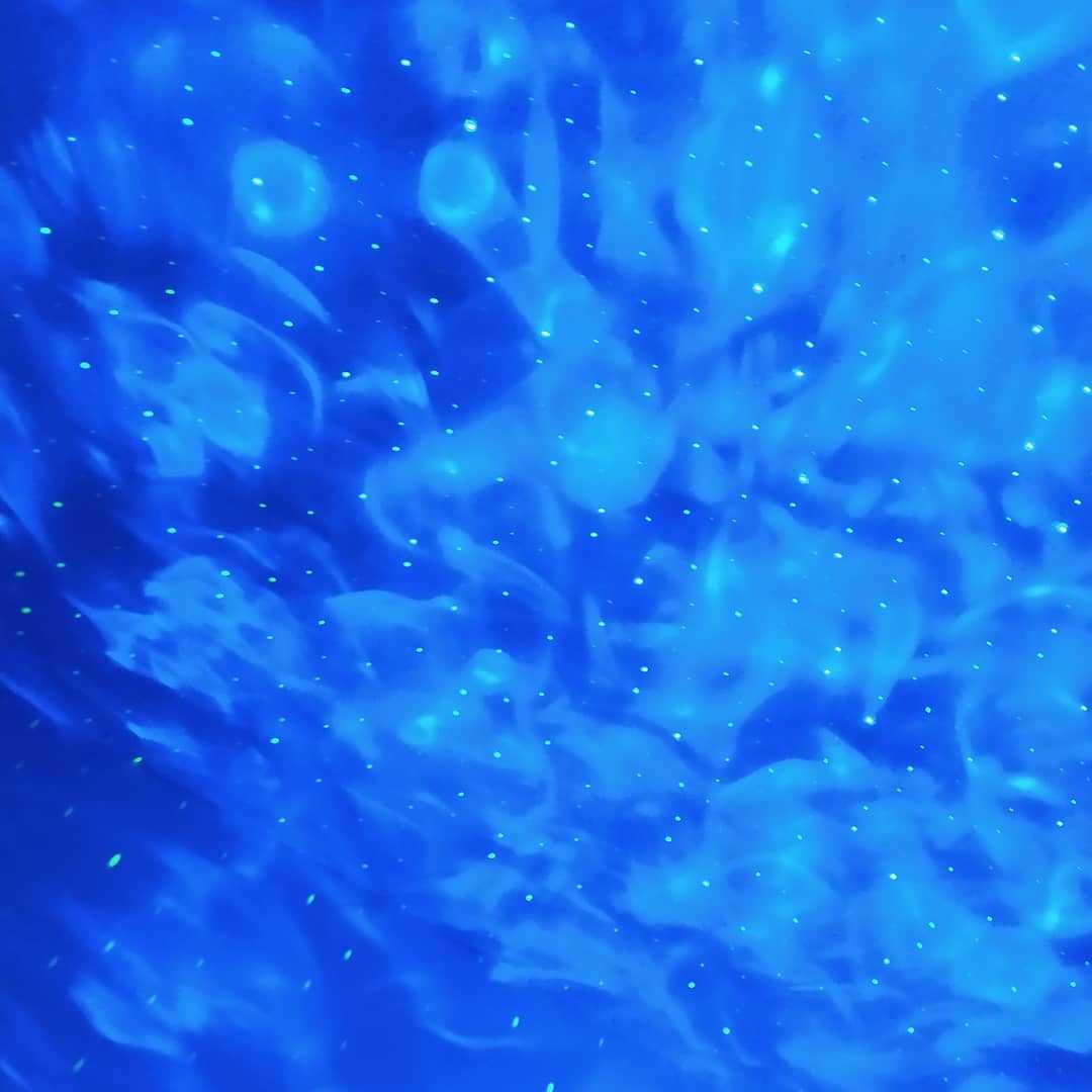 coldbrewandflair tweet media