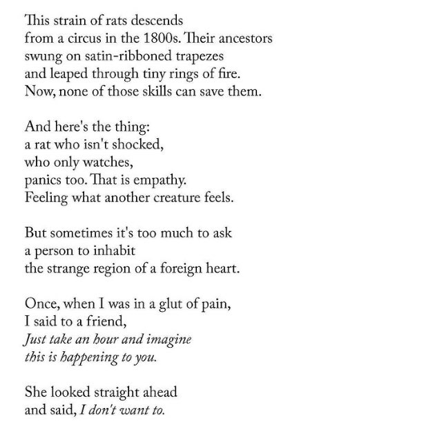 __why_so_blue's tweet photo. Experiment in Empathy by Ellen Bass https://t.co/8v7qxYt8m8