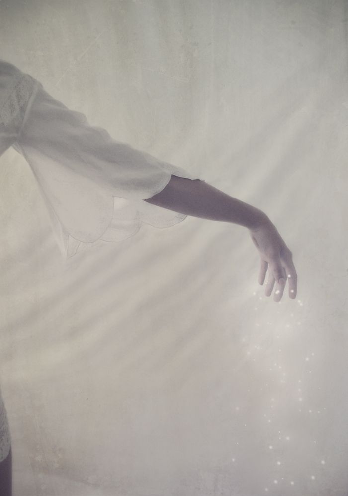 carolina53 tweet media