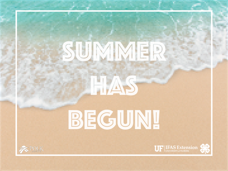 Polk4h's tweet photo. Many of our county schools finished the school year last week. On behalf of Polk County 4-H, CONGRATS to all of our graduates. We hope everyone enjoys their summer vacation! https://t.co/1b5y14QR6D