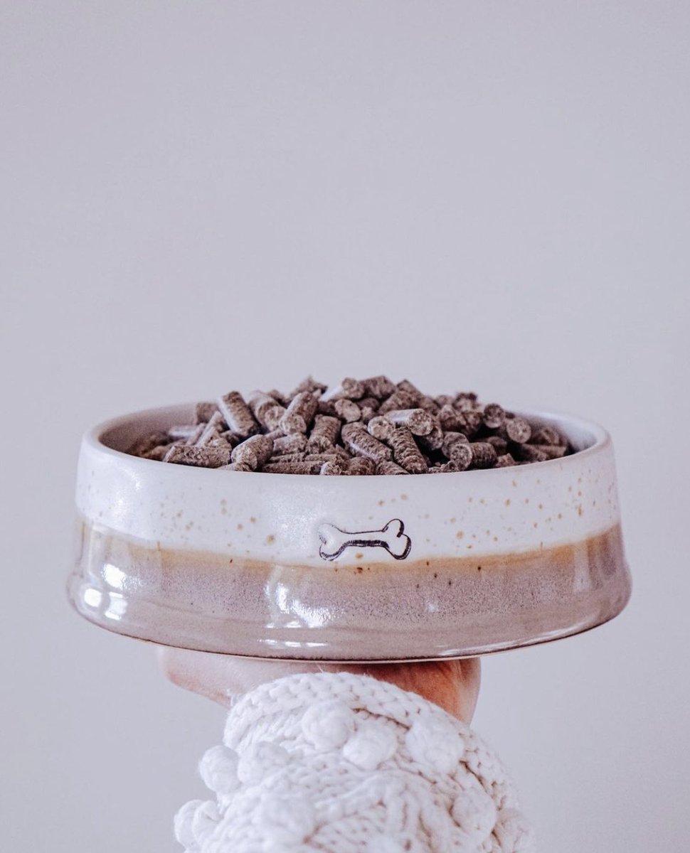 We use cold pressed food because…⁣
⁣
✅ Retains Nutritional Benefits⁣
✅ Easier to Digest⁣
✅ Ideal for Sensitive Appetites⁣
✅ Yummy⁣
⁣
📸Instagram: simply_sustainable_living
⁣
Find out more🐾⁣
bugbakes.co.uk/blogs/blog/8-b…