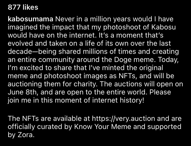 Doge is becoming an NFT, day ruined