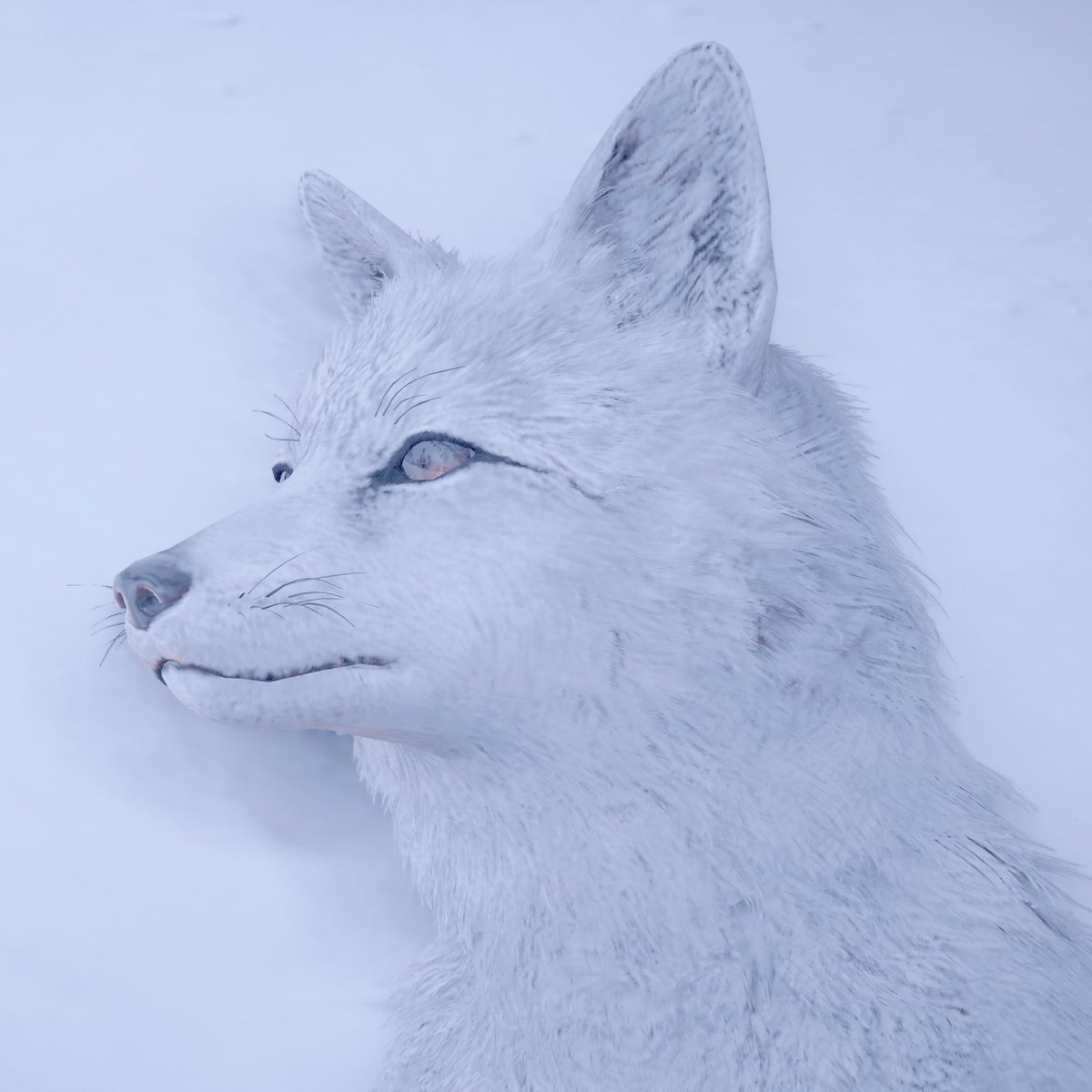 x_Saydi_x's tweet image. #TCCpurewhite #AssassinsCreedValhalla #Cyberpunk2077 #Xbox #XboxOneX #VirtualPhotography #TheCapturedCollective