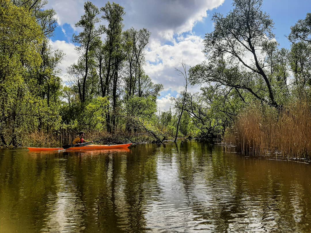 Op onze website en in onze gids vind je de leukste kanoroutes door de Biesboschlinie en door de Noordwaard. Het gidsje is gratis op te halen op diverse toeristische locaties in de Biesboschlinie en ook zijn de routes gratis te downloaden via de link 👇
bit.ly/3eSFD47
