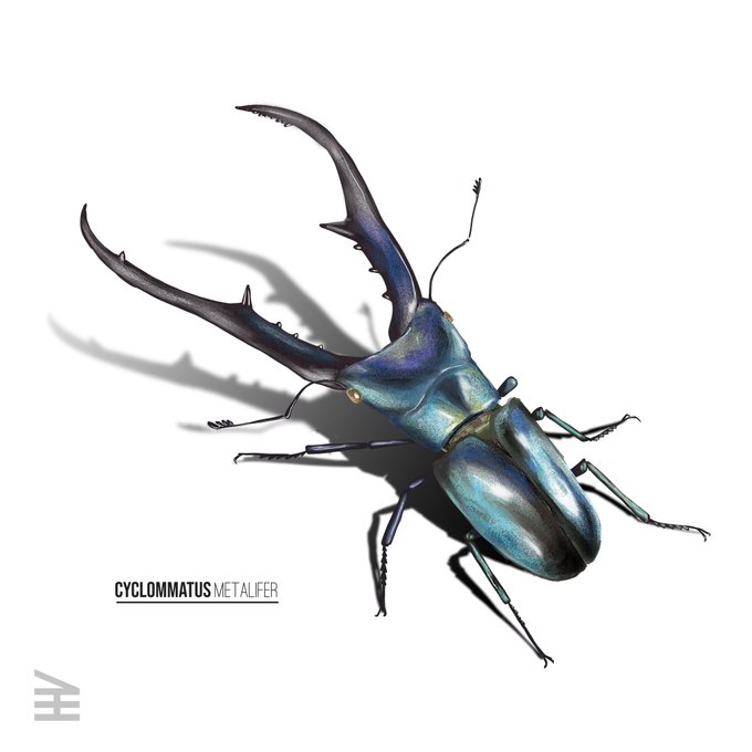 Cyclommatusのtwitterイラスト検索結果