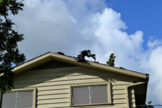 Firewise's tweet photo. Policymakers must ensure grants &amp; low-cost loans are available to aid mitigation &amp; retrofitting efforts for those who otherwise lack resources. Learn how support to home retrofitting can help us #OutthinkWildfire https://t.co/8IwXKMh1Ug #fireadapted #firewise #defensiblespace https://t.co/K8tQozCbtp