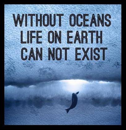 EverythingOceans tweet media