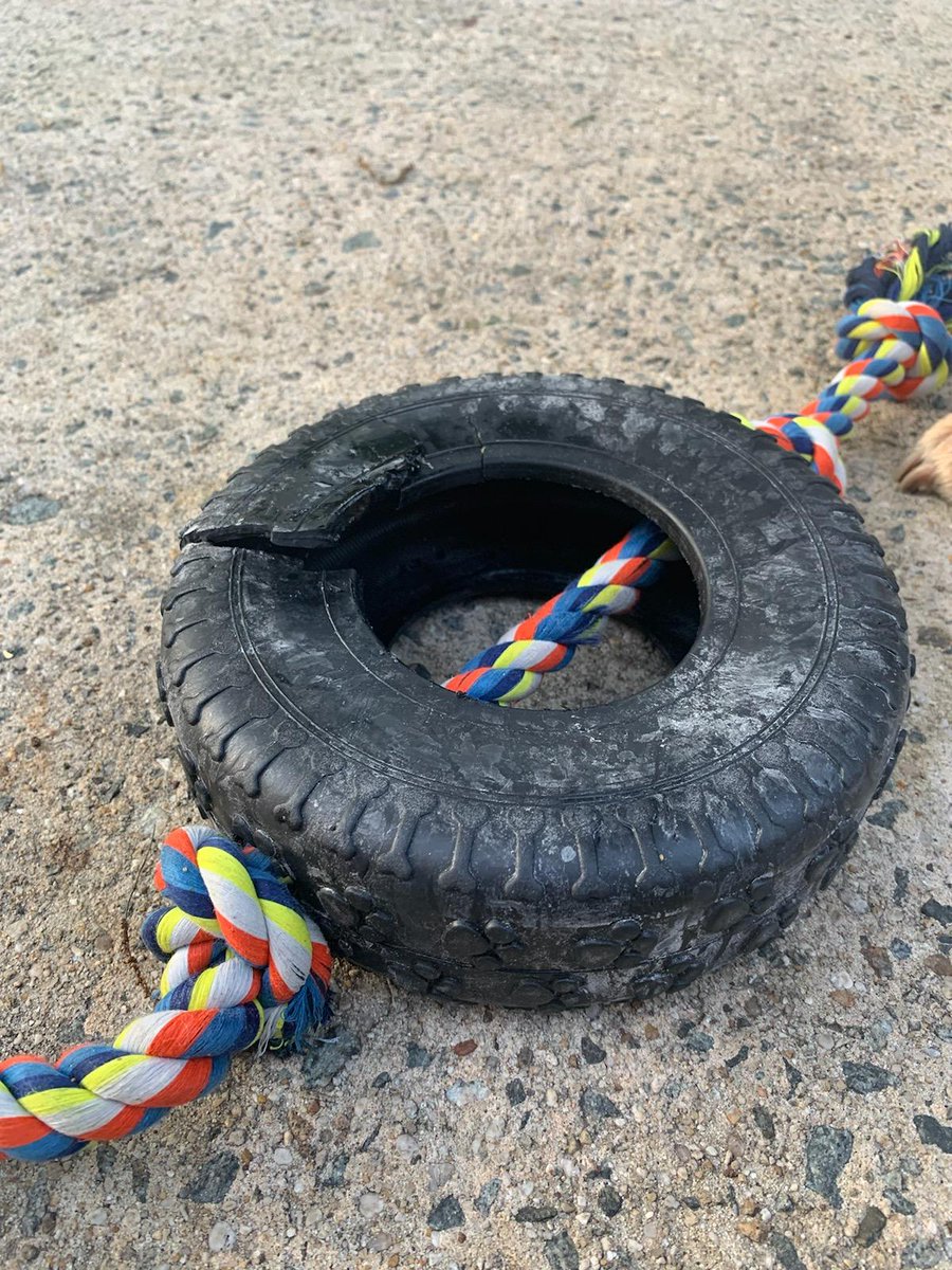 ivanruizdesign's tweet photo. $17 and 5 minutes later this tire was absolutely shredded. @PetSmart don't make or sell products under the TopPaw brand for large breeds if they're not going to hold up. This is just plain old poor quality. #Petsmart #toppaw #canecorso https://t.co/QelRCjAoUb