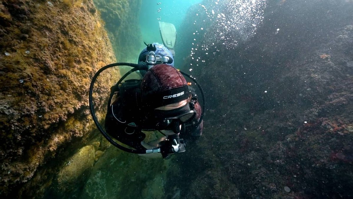 Tomorrow we celebrate the #WorldOceanDay and we do it in a very special way! <a href="/ominirabeats/">ominirabeats</a> is launching a new clip to present #staghorncoral inspired in the desertification of the ocean and #coralbleaching.