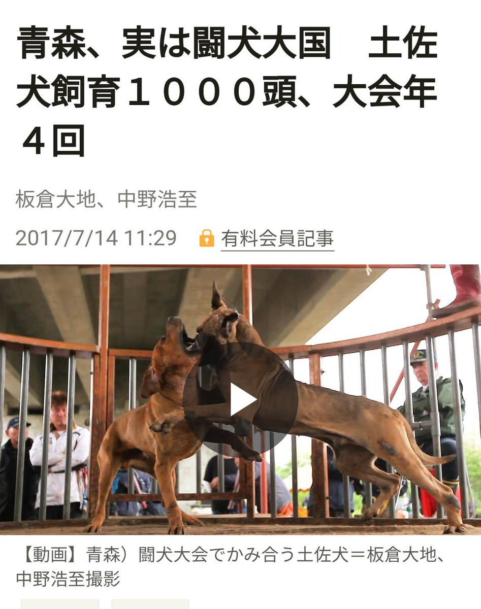 Kumiko 全土佐犬連合会30周年記念大会に出席する 大家さとし参議院議員 100 62千代田区永田町2 1 1参議院議員会館518号室 Tel 03 6550 0518 Fax 03 6551 0518 吉村悠福岡県議会議員 802 0802北九州市小倉南区城野4 1 30 Tel 093 951 5757 Fax 093 Kumiko 全土佐犬連合会30周年記念大会に出席する 大家さとし参議院議員 100 62千代田区永田町2 1 1参議院議員会館518号室 Tel 03 6550 0518 Fax 03 6551 0518 吉村悠福岡県議会議員 802 0802北九州市小倉南区城野4 1 30 Tel 093 951 5757 Fax 093