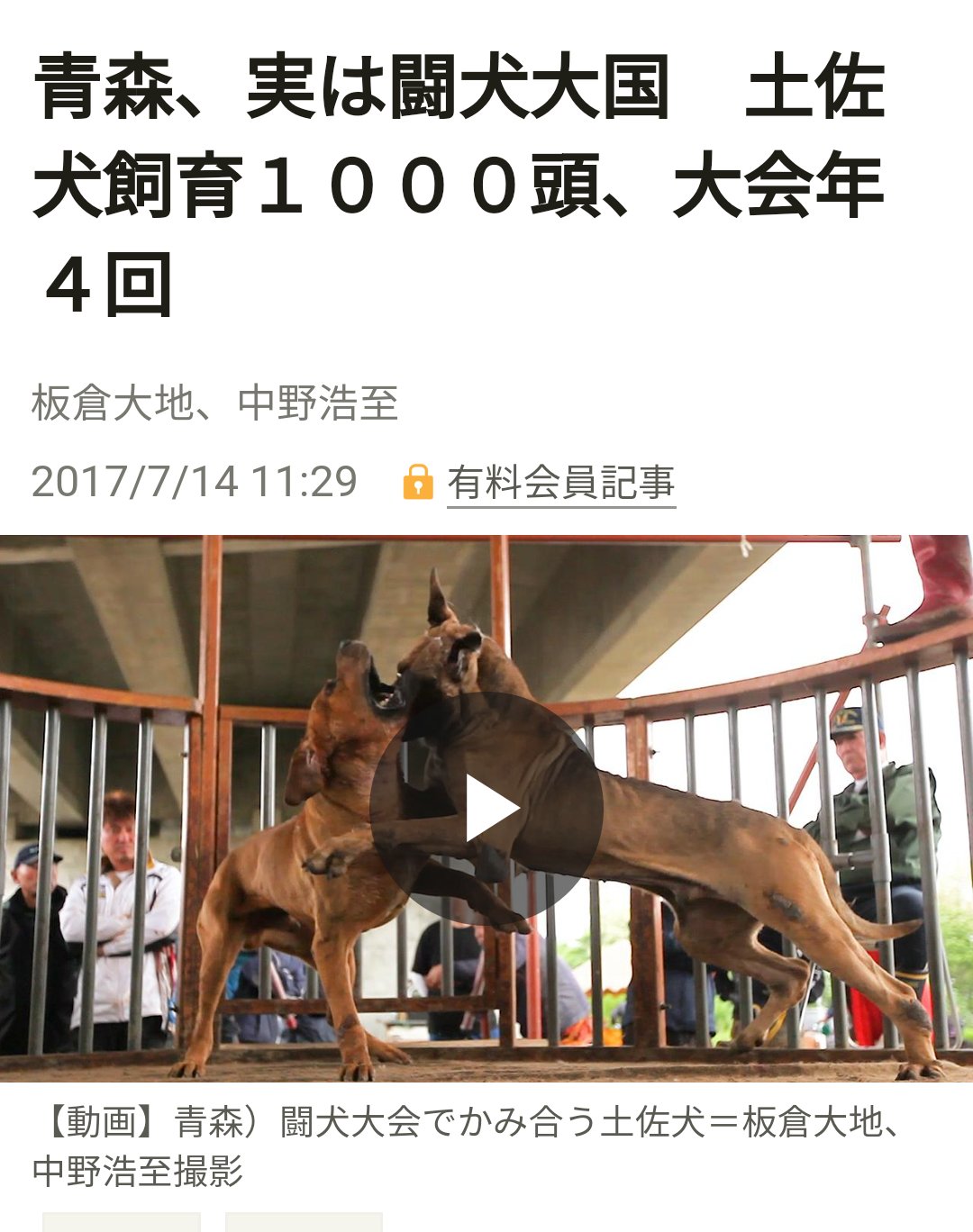 Kumiko 北海道でも闘犬大会が開催されます 日程は6 21 7 26 8 23 9 10 25です 北海道は闘犬禁止ですが土佐犬の闘犬は許可されてます 禁止されてる一部都道府県を除き全国各地で闘犬大会 があります どうかメール ハガキアクションに北海道大会阻止