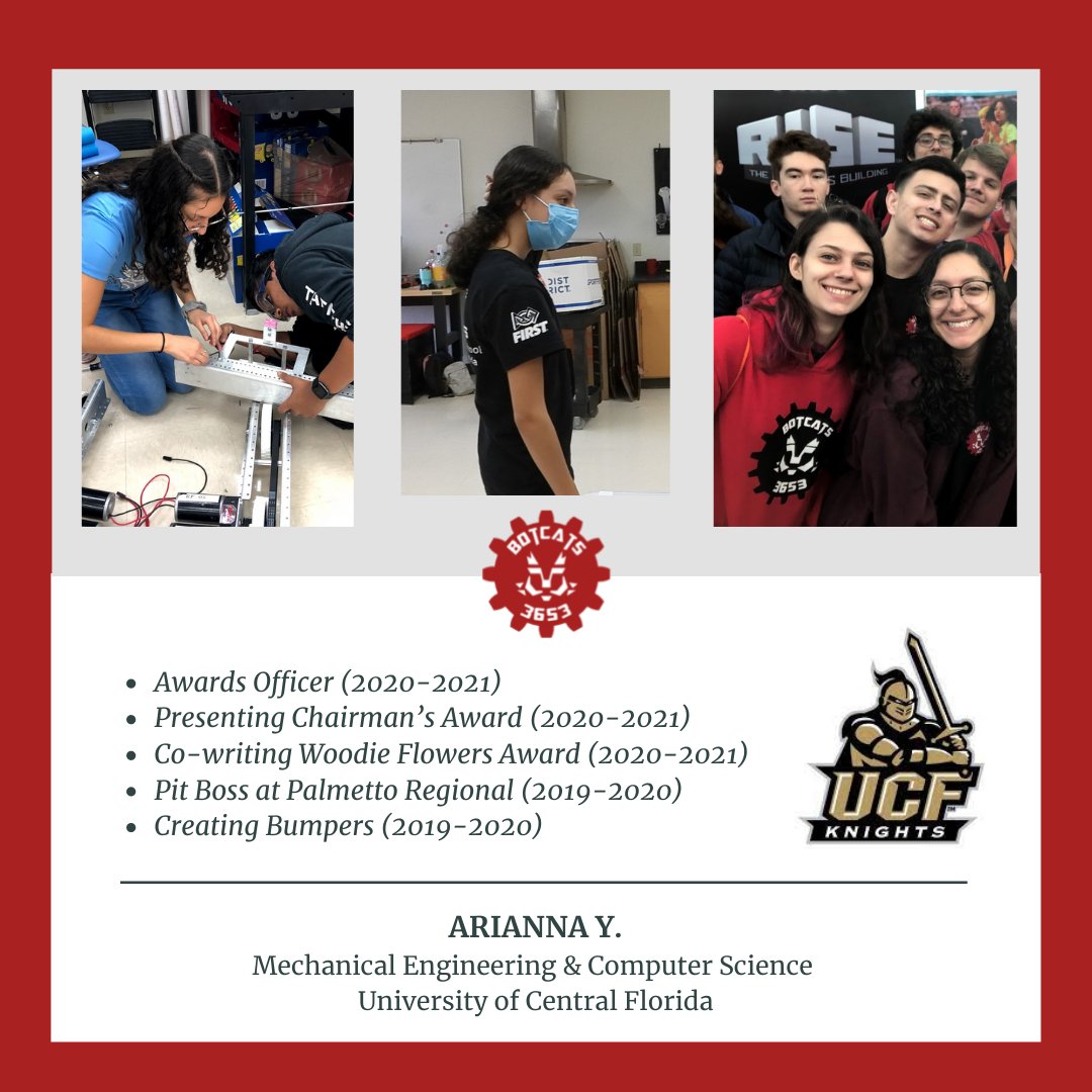 BOTCATS 3653 tweet media